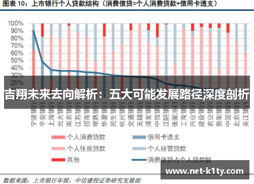 吉翔未来去向解析：五大可能发展路径深度剖析