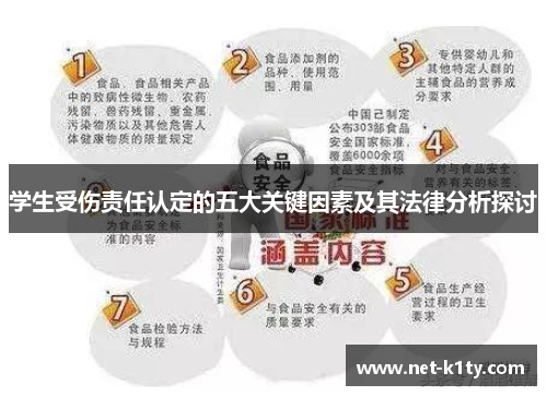 学生受伤责任认定的五大关键因素及其法律分析探讨