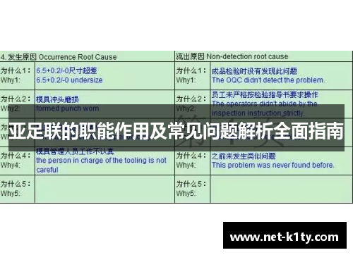 亚足联的职能作用及常见问题解析全面指南